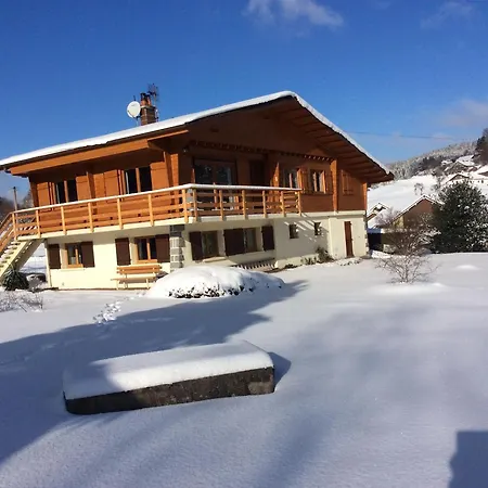Confortable A Avec Jardin, Ski, Randonnees Et Activites Nautiques - Fr-1-589-128 Apartman Gérardmer