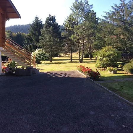 Confortable A Avec Jardin, Ski, Randonnees Et Activites Nautiques - Fr-1-589-128 * Gérardmer