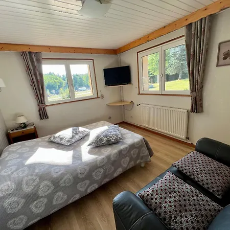 Confortable A Avec Jardin, Ski, Randonnees Et Activites Nautiques - Fr-1-589-128 Gérardmer