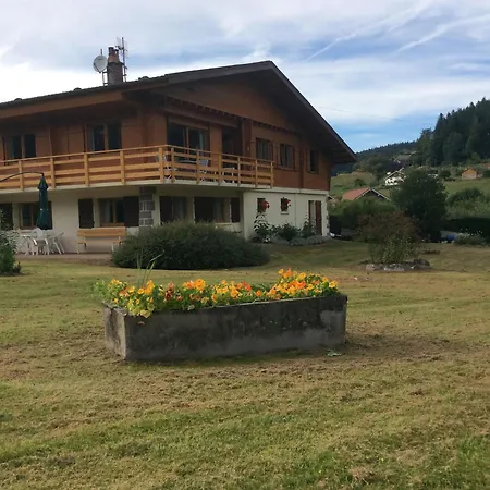Confortable A Avec Jardin, Ski, Randonnees Et Activites Nautiques - Fr-1-589-128 Gérardmer