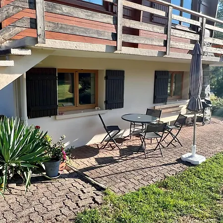 Confortable A Avec Jardin, Ski, Randonnees Et Activites Nautiques - Fr-1-589-128 * Gérardmer