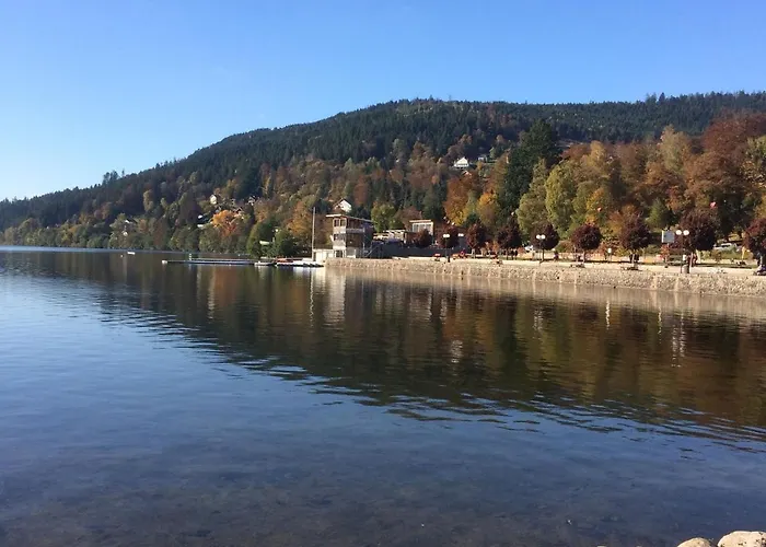 Confortable A Avec Jardin, Ski, Randonnees Et Activites Nautiques - Fr-1-589-128