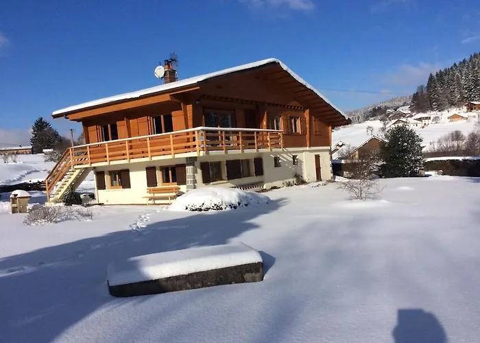 Confortable A Avec Jardin, Ski, Randonnees Et Activites Nautiques - Fr-1-589-128 Apartmán Gérardmer