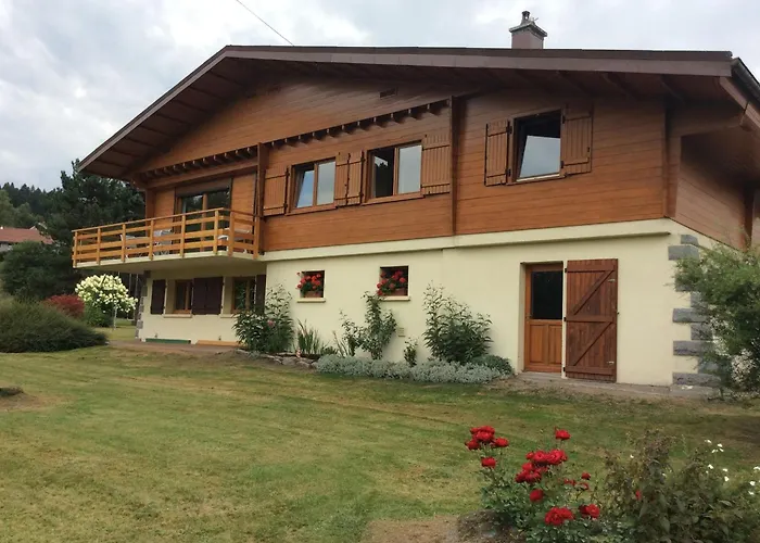 Confortable A Avec Jardin, Ski, Randonnees Et Activites Nautiques - Fr-1-589-128 Gérardmer