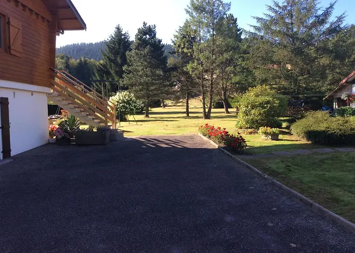 Confortable A Avec Jardin, Ski, Randonnees Et Activites Nautiques - Fr-1-589-128 * Gérardmer