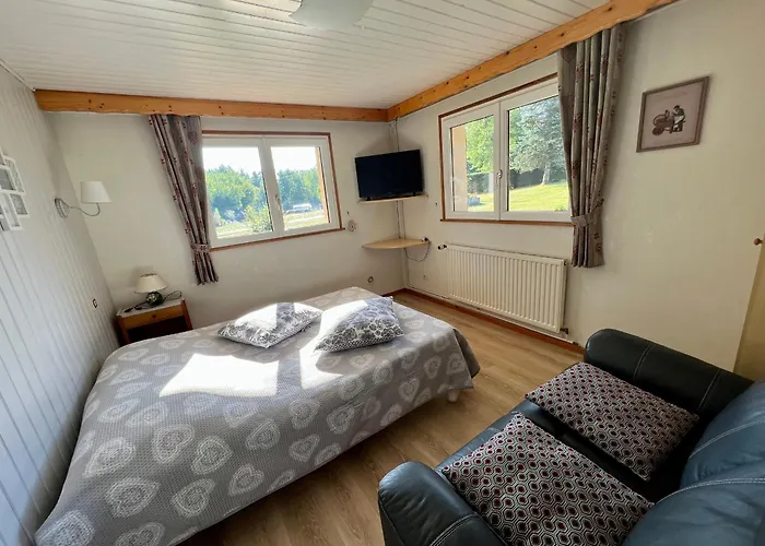 Confortable A Avec Jardin, Ski, Randonnees Et Activites Nautiques - Fr-1-589-128 Gérardmer