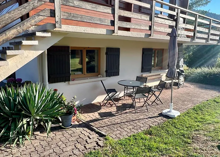 Confortable A Avec Jardin, Ski, Randonnees Et Activites Nautiques - Fr-1-589-128 * Gérardmer